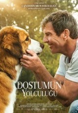 DOSTUMUN YOLCULUĞU