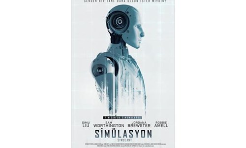SİMULASYON