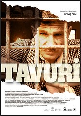 TAVURİ