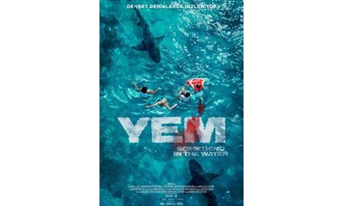 YEM