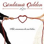 GÖNLÜMÜ ÇALDIN