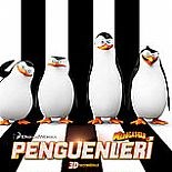 MADAGASKAR PENGUENLERİ