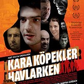 KARA KÖPEKLER HAVLARKEN