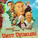 UMUT ÜZÜMLERİ