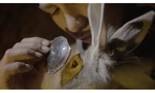 ALTIN PORTAKAL'I TAVŞAN İMPARATORLUĞU KAZANDI