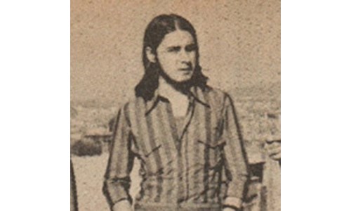 NUR YENAL  (DAVUL)