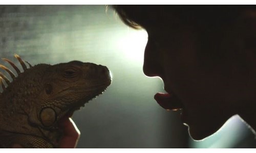 KAAN MÜJDECİ'NİN 'İGUANA TOKYO'SU JAPONYA'DA GÖSTERİME GİRDİ
