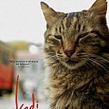 İSTANBUL´UN KEDİLERİNİ RUSLAR ÇOK SEVDİ