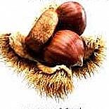 ´EN FENALAR´A VERİLEN ALTIN KESTANELERE ADAY İSİMLER AÇIKLANDI
