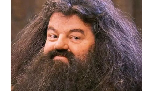 HARRY POTTER'IN HAGRID'İ YAŞAMINI YİTİRDİ 
