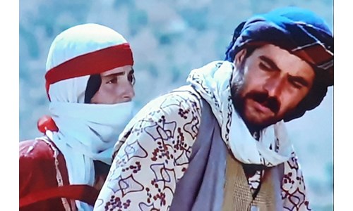 GÖÇ  (SÜRÜ)