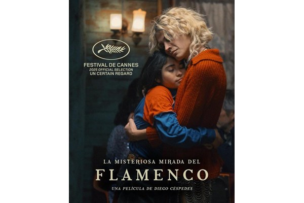 2025 FESTİVAL RAPORU - YABANCI FİLMLER